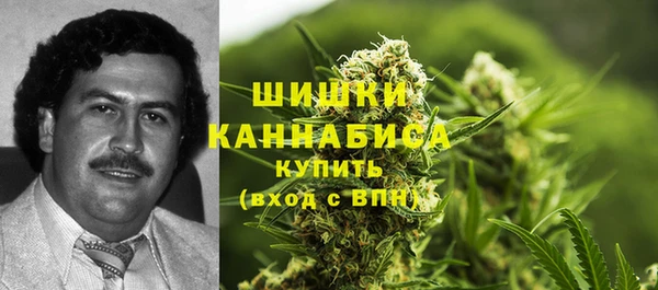 экстази Алексин