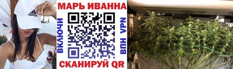 Шишки марихуана сатива  KRAKEN ССЫЛКА  Королёв 